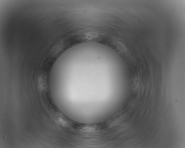 X0000073480236200608071029