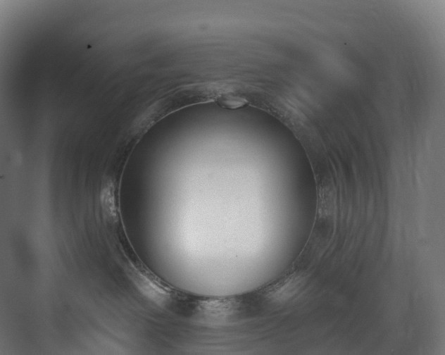 X0000073480238200608071029