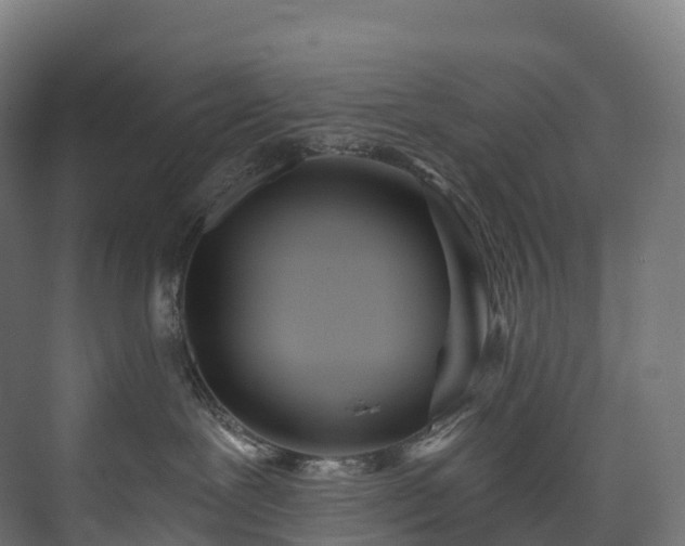 X0000073480239200608071029