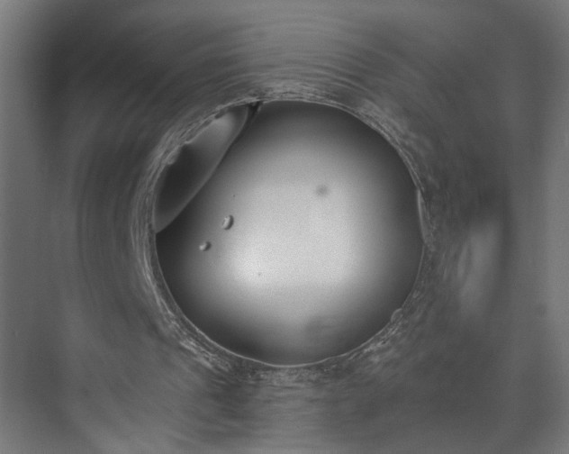 X0000073480241200608071028