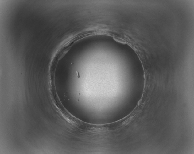 X0000073480245200608071028