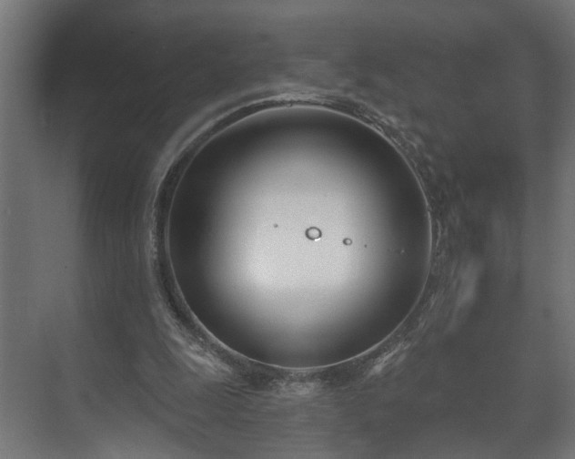 X0000073480247200608071028