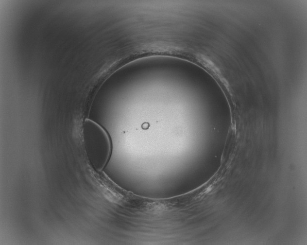 X0000073480249200608071028