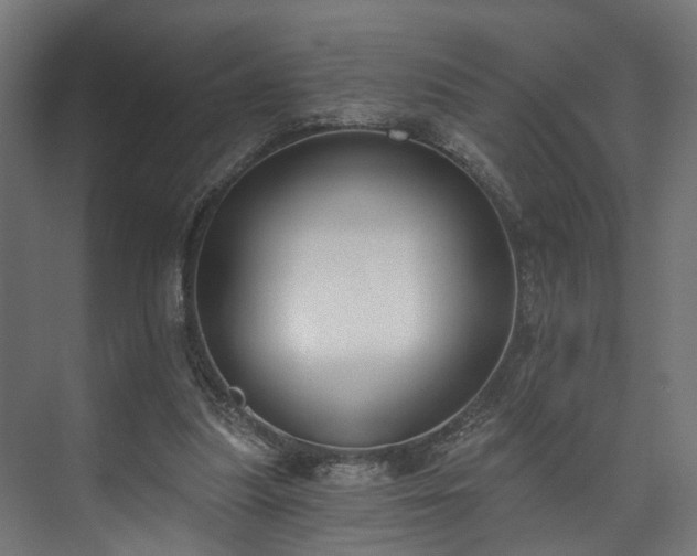 X0000073480251200608071028