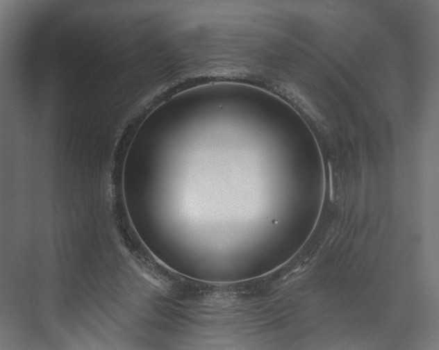 X0000073480252200608071028