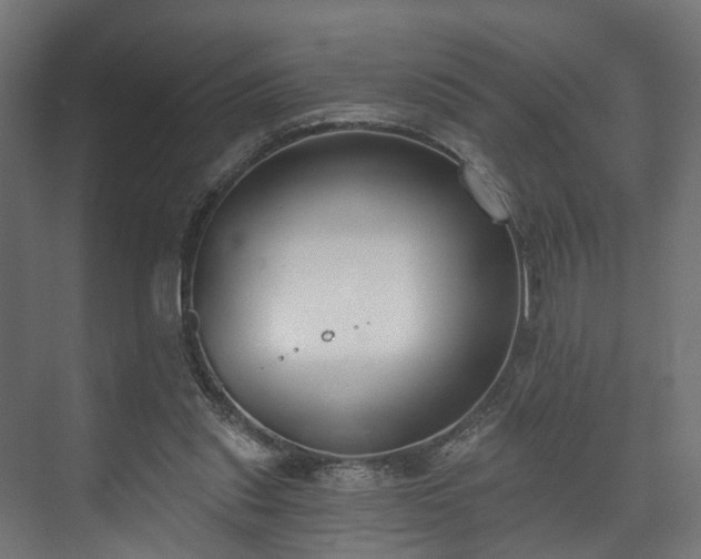 X0000073480253200608071028