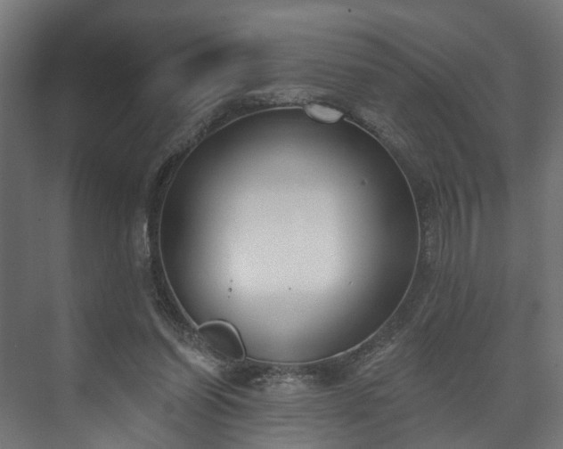 X0000073480254200608071028