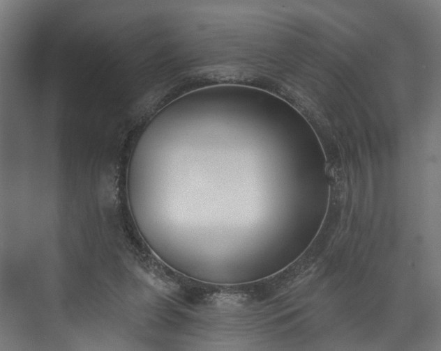 X0000073480255200608071028