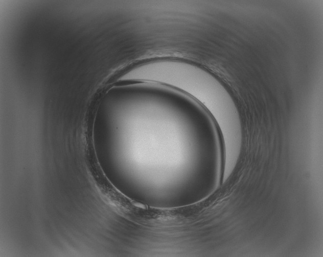 X0000073480256200608071028