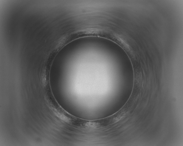 X0000073480261200608071028