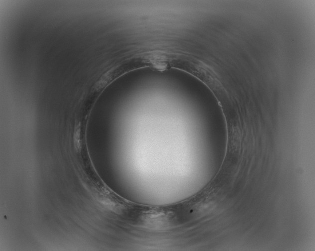 X0000073480267200608071028