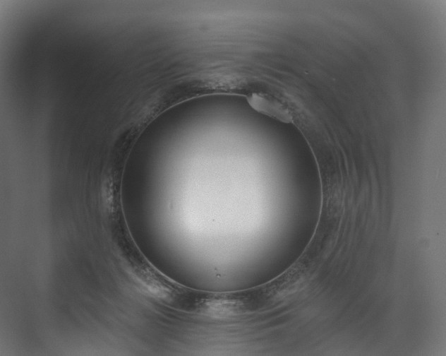 X0000073480268200608071028