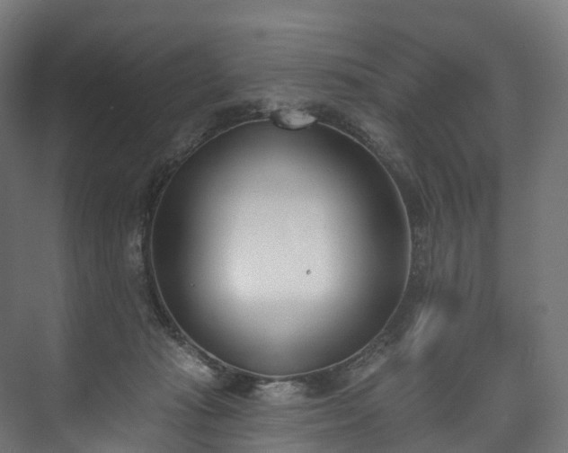 X0000073480269200608071028