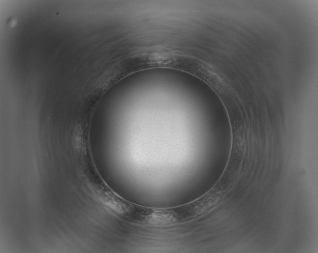 X0000073480270200608071028