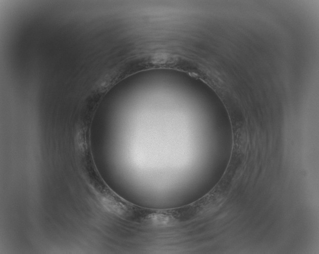 X0000073480272200608071029