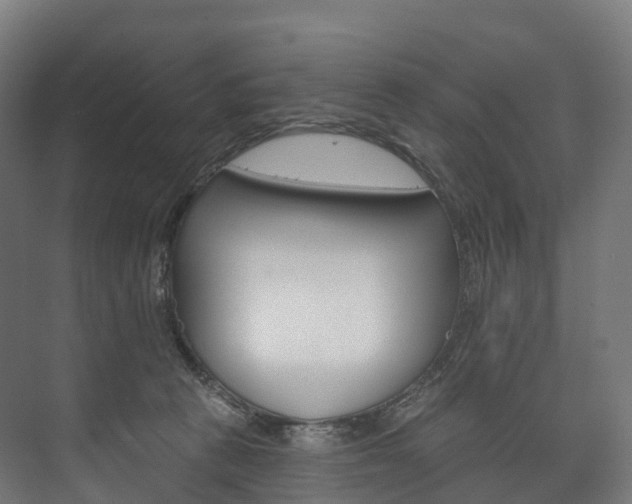 X0000073480273200608071029