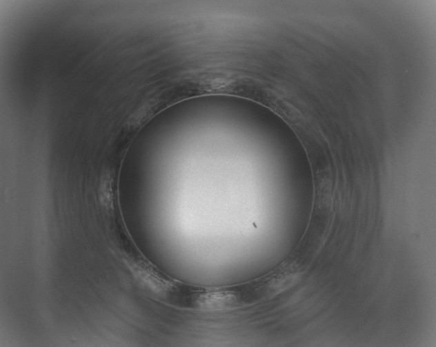 X0000073480274200608071029