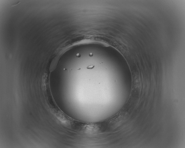 X0000073480275200608071029