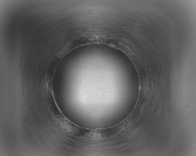 X0000073480276200608071029