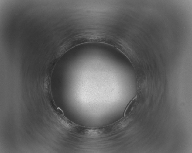 X0000073480277200608071029