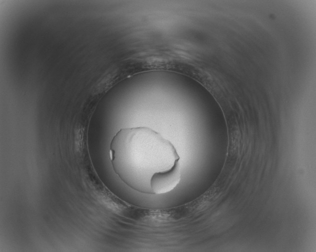 X0000073480278200608071029