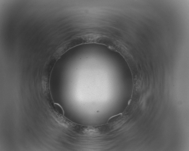 X0000073480283200608071029