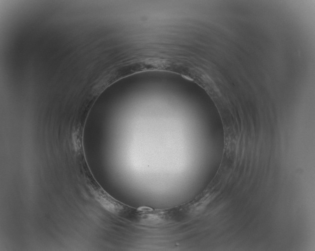 X0000073480285200608071029