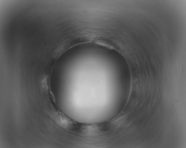 X0000073480286200608071029