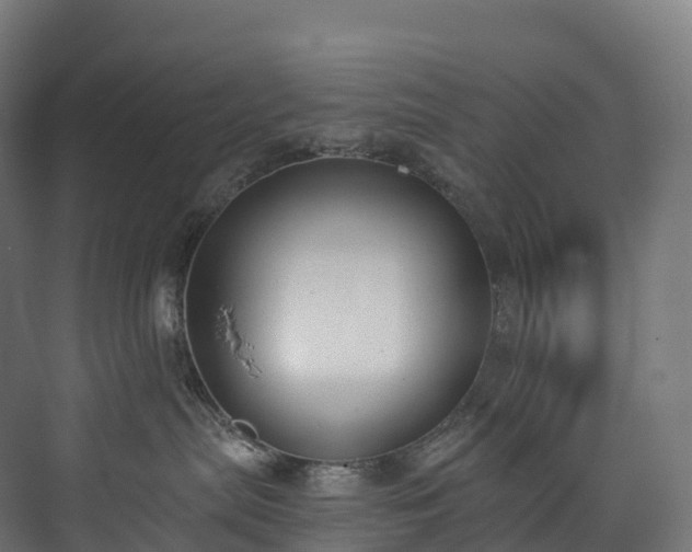 X0000073480287200608071029