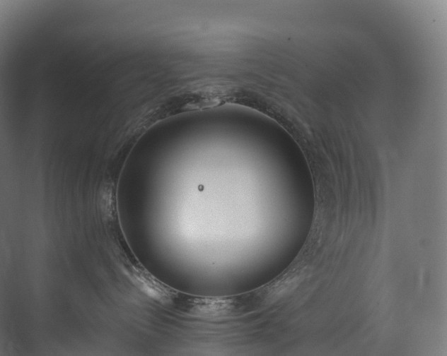 X0000073480288200608071029