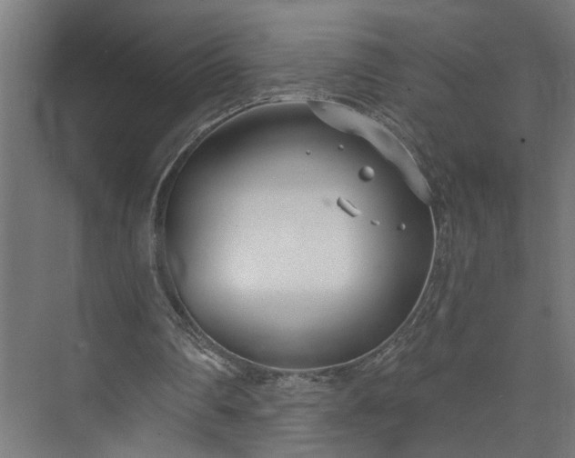 X0000073480290200608071028