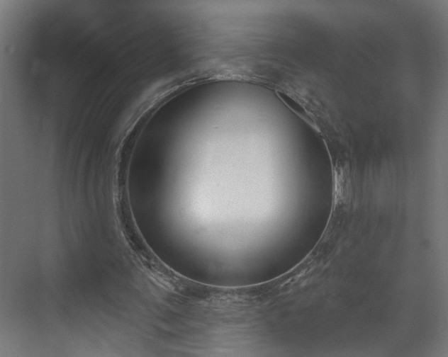 X0000073480291200608071028