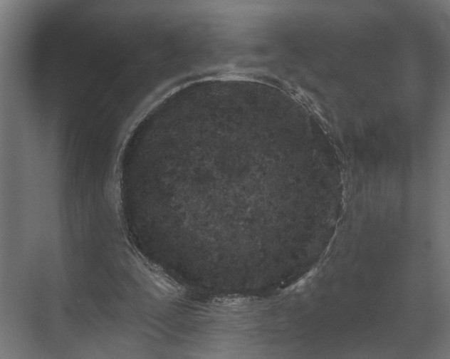 X0000073480295200608071028