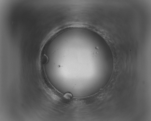 X0000073480296200608071028