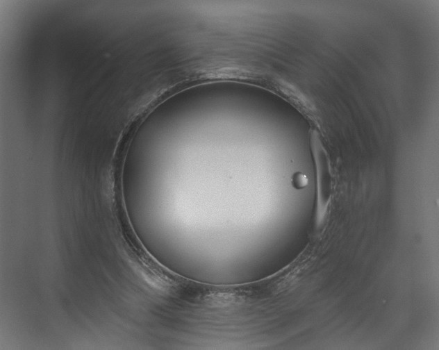 X0000073480298200608071028