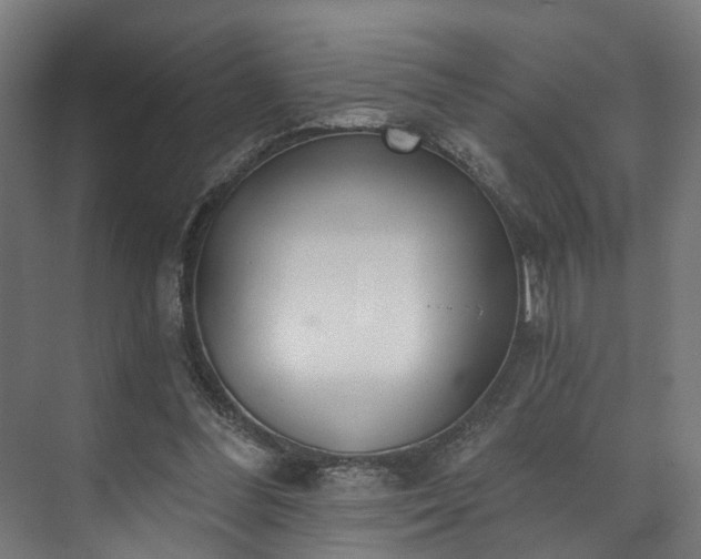 X0000073480300200608071028