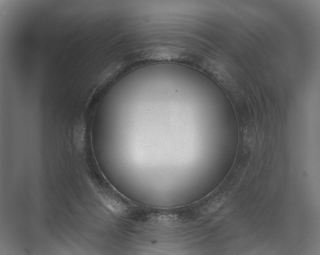 X0000073480304200608071028