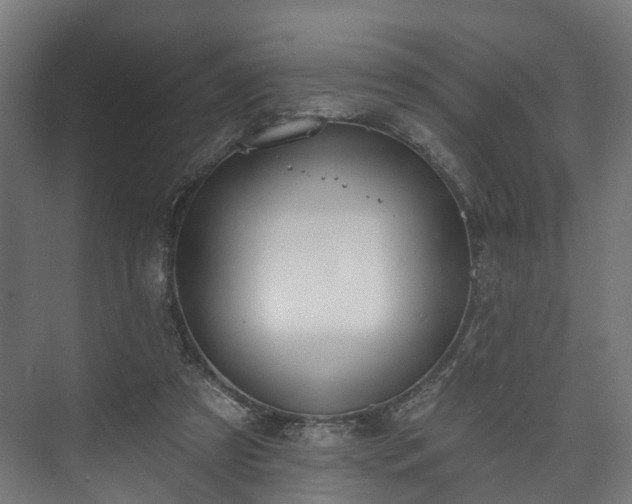 X0000073480305200608071028