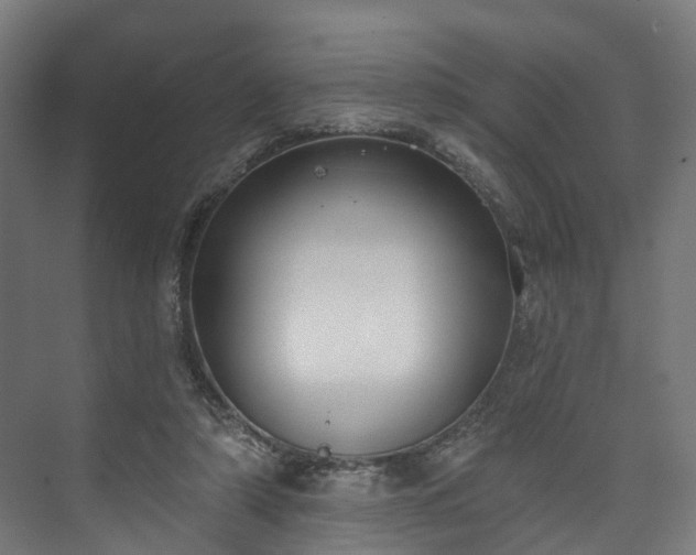 X0000073480306200608071028