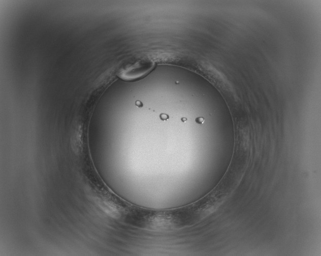 X0000073480308200608071028