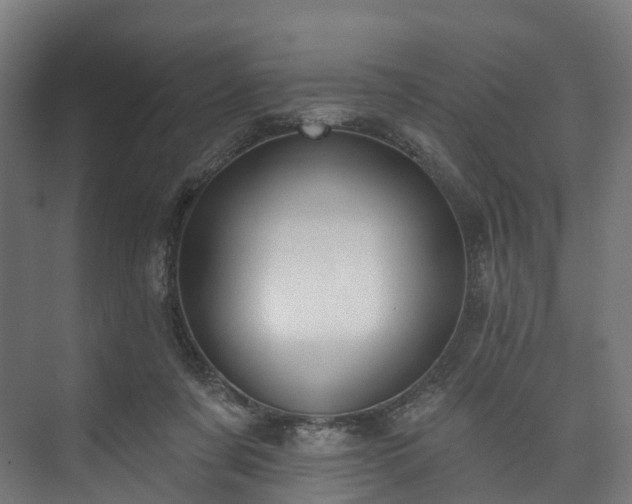 X0000073480311200608071028