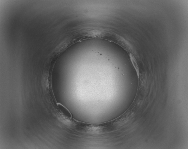 X0000073480313200608071028