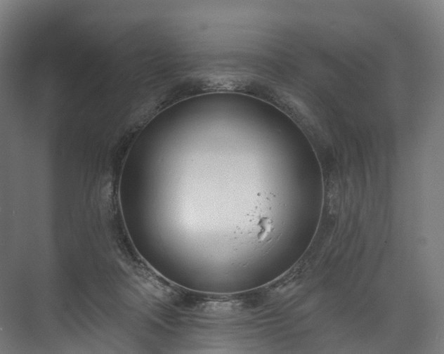 X0000073480314200608071028