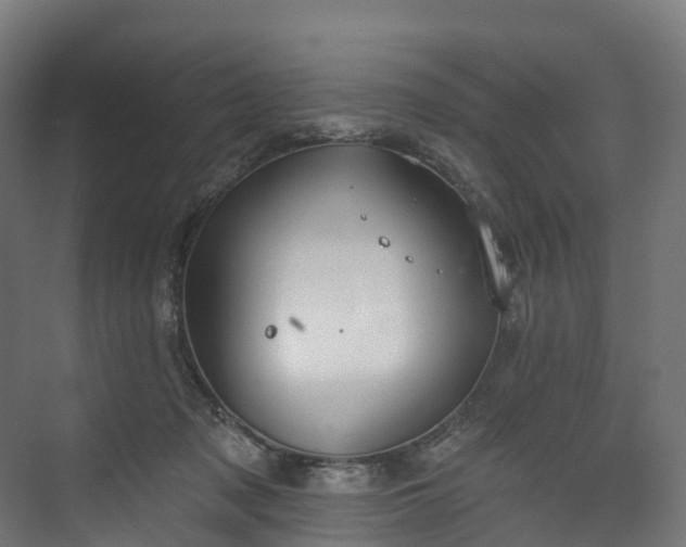 X0000073480317200608071027