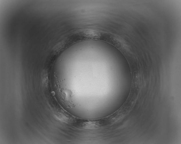 X0000073480320200608071027