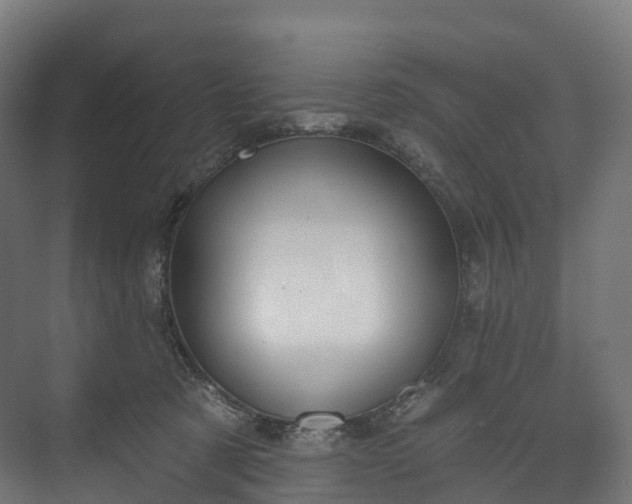 X0000073480321200608071027