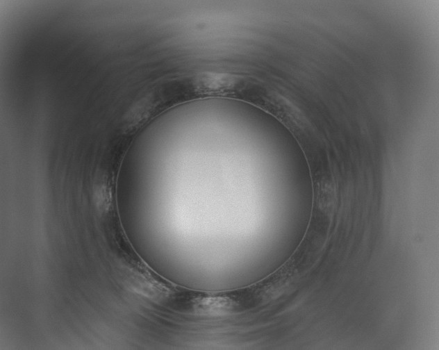 X0000073480324200608071027