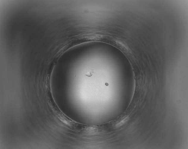 X0000073480325200608071027