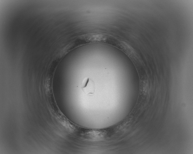 X0000073480326200608071027