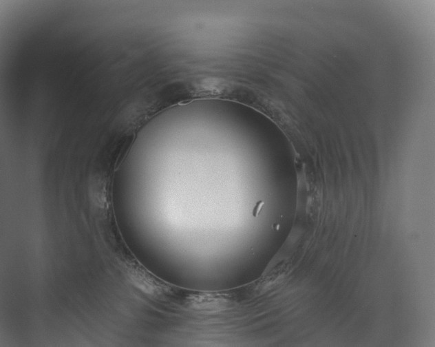 X0000073480331200608071027